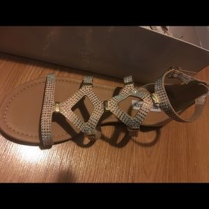 Steve Madden Gladiators